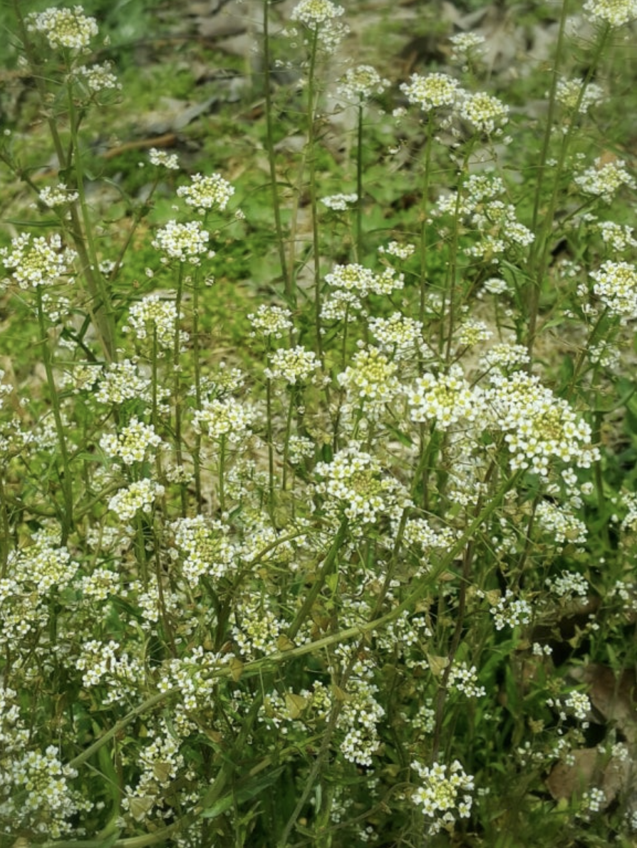 스크린샷 2025-02-22 오후 2.07.12.png