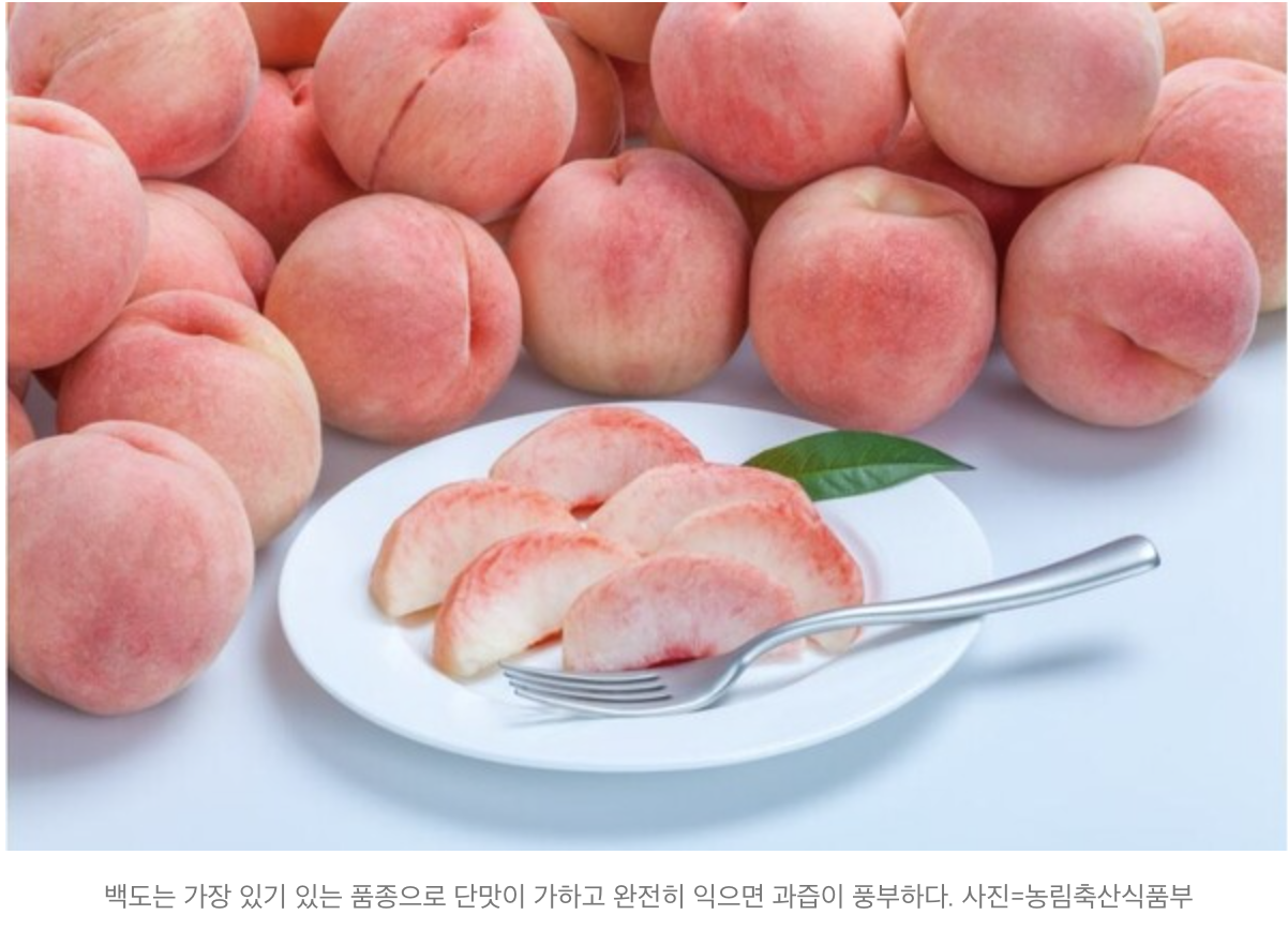 스크린샷 2025-07-02 오후 11.54.28.png