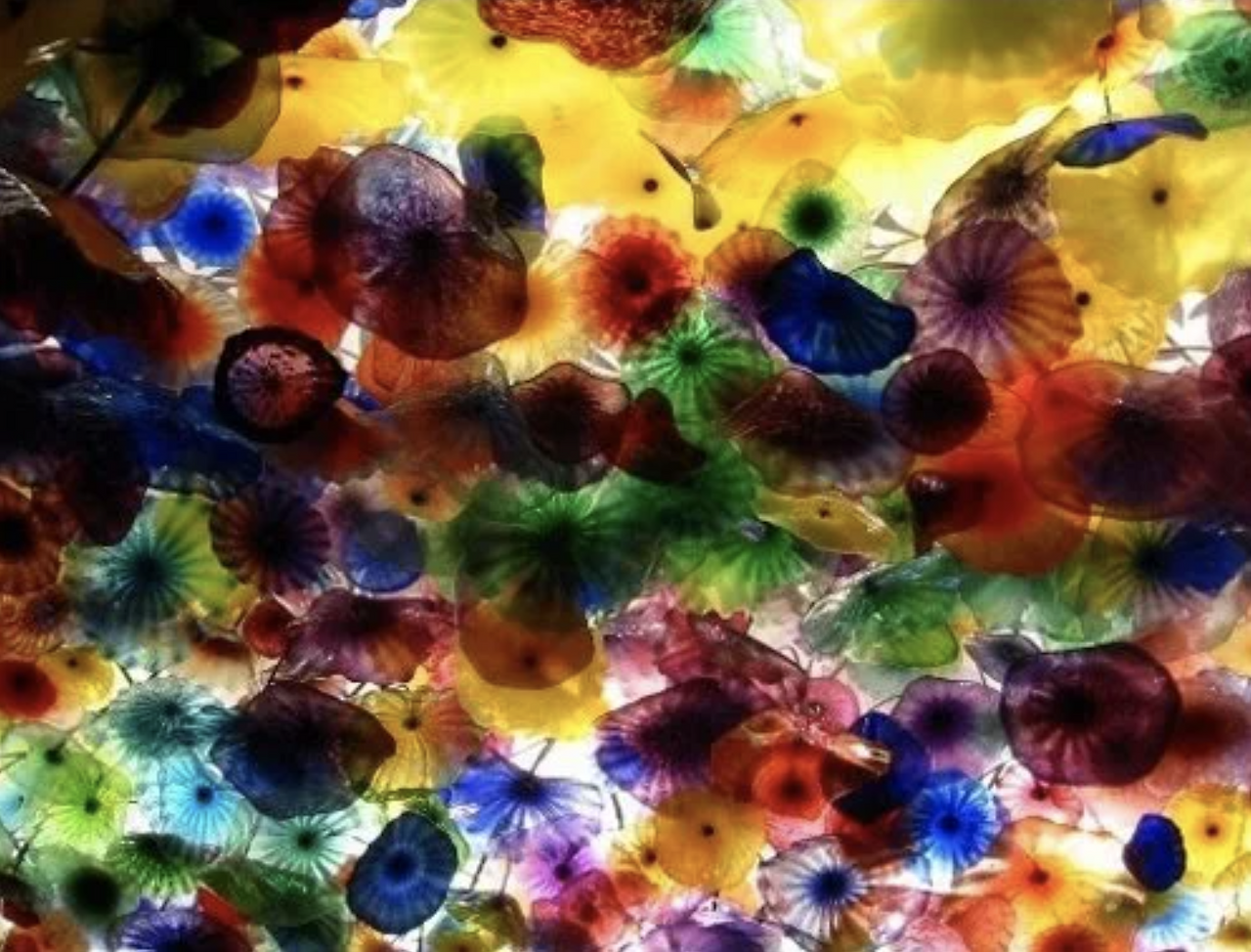 스크린샷 2025-01-28 오후 1.31.02.png