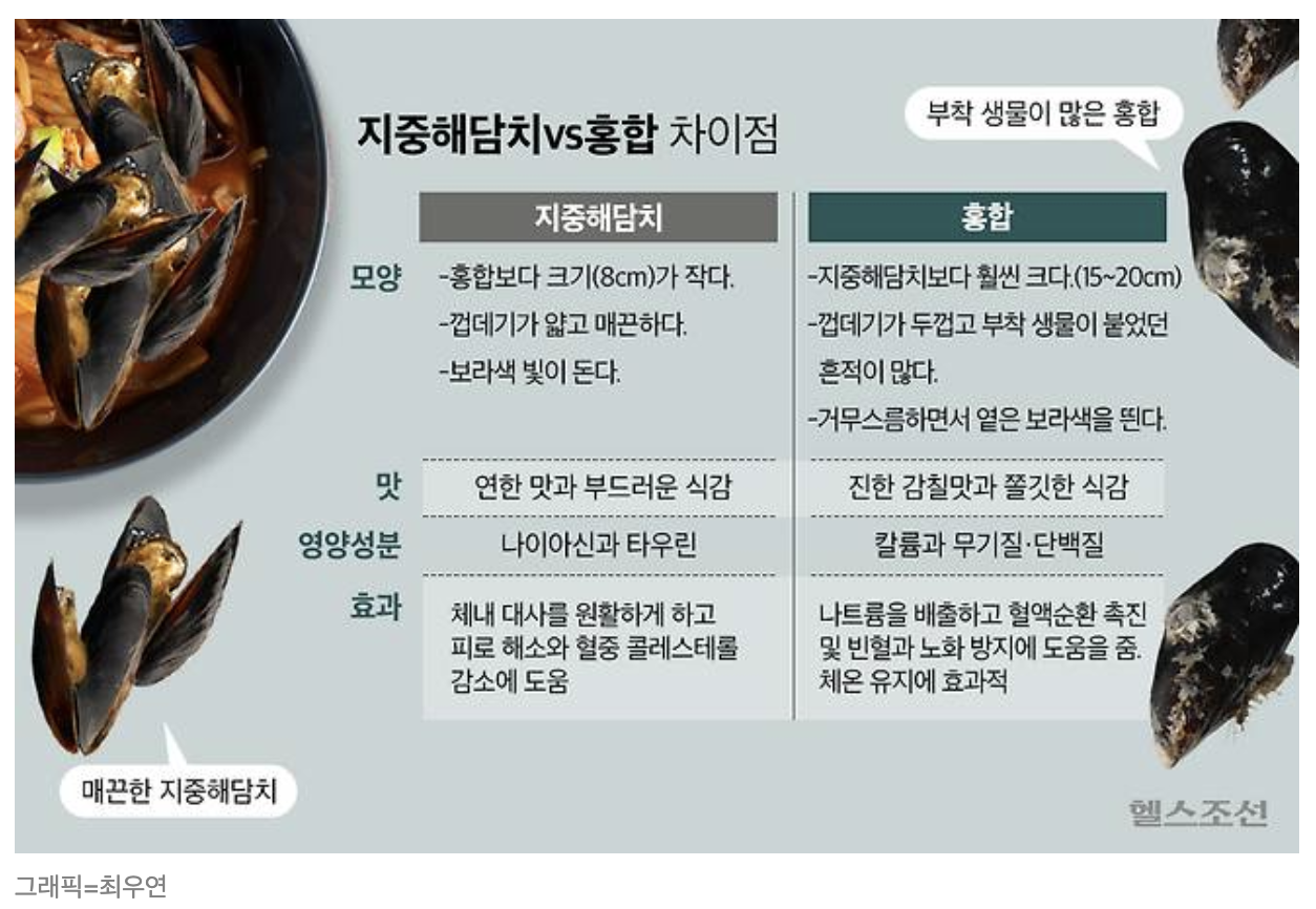 스크린샷 2025-04-15 오후 10.43.05.png