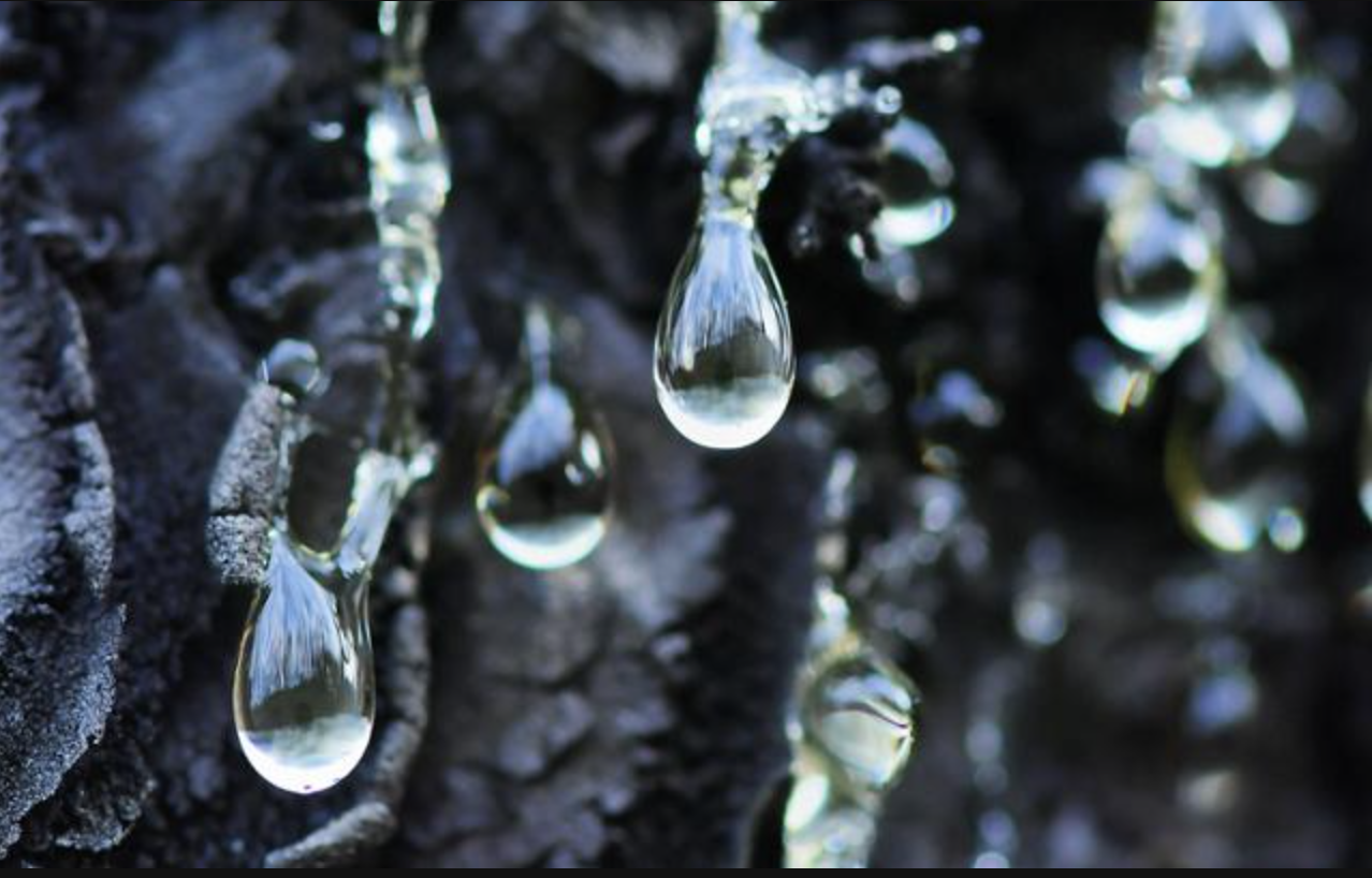 스크린샷 2025-04-17 오후 10.50.32.png