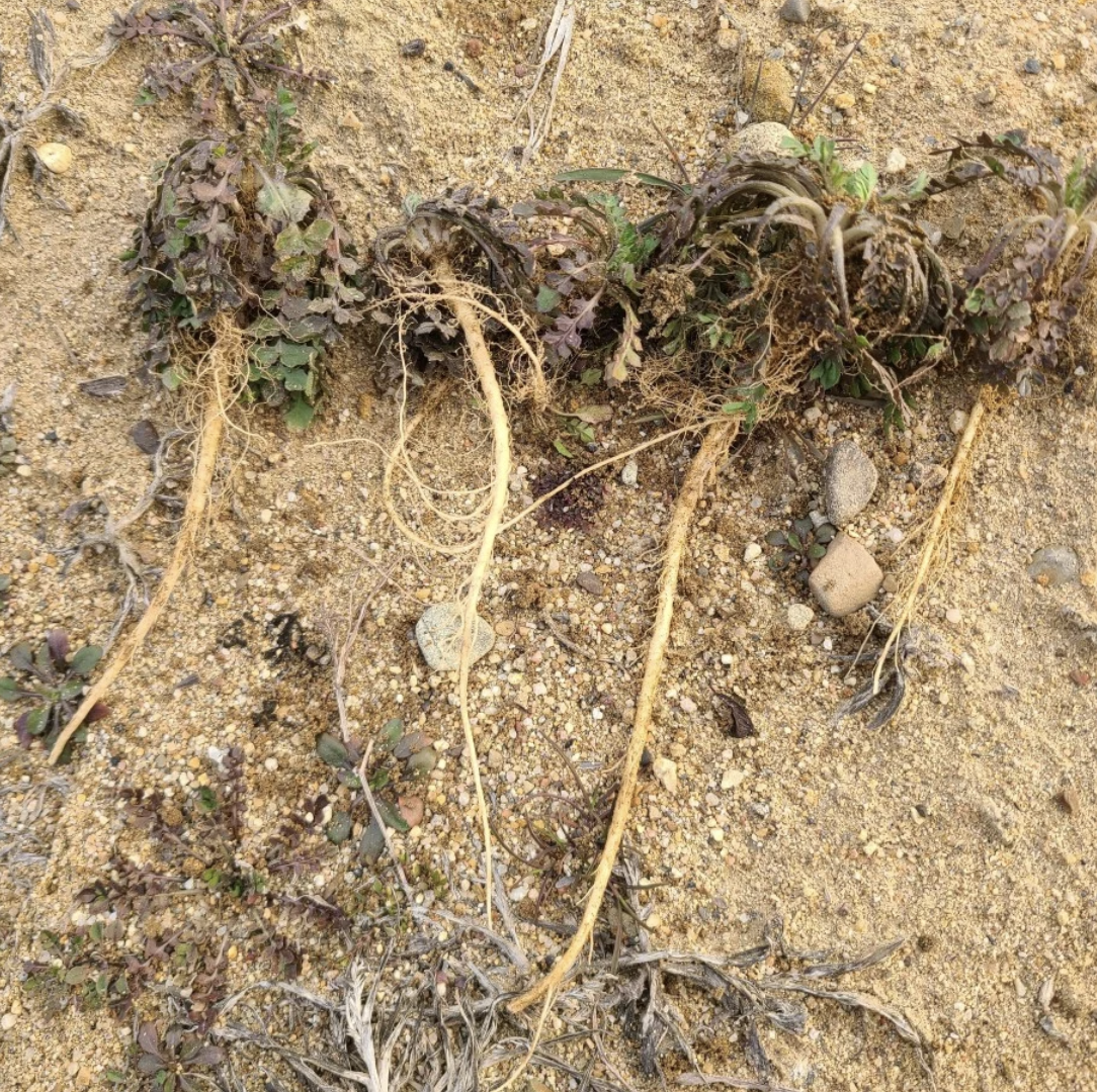 스크린샷 2025-02-22 오전 11.41.03.png