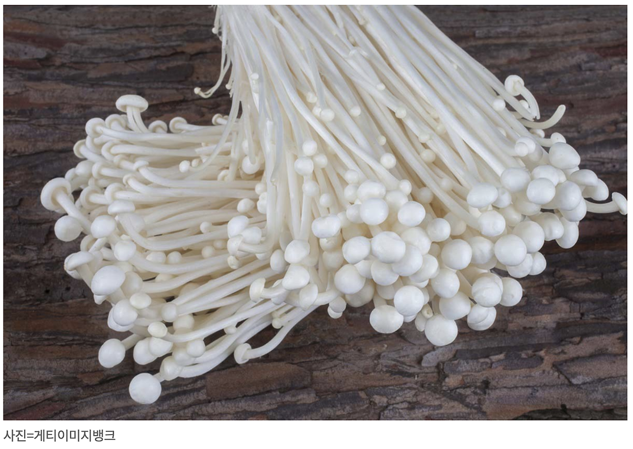 스크린샷 2025-07-09 오후 11.18.13.png