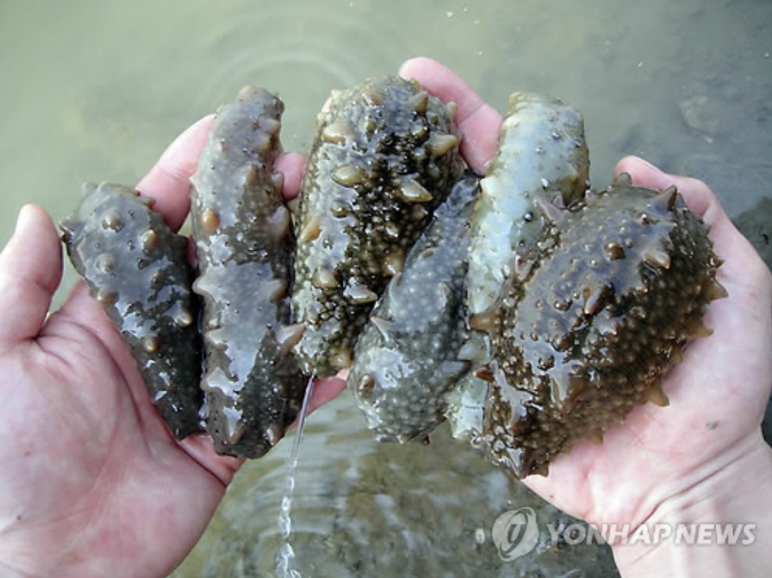 스크린샷 2025-07-12 오후 11.43.03.png