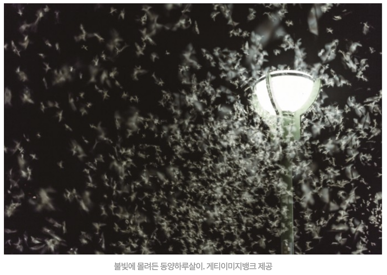 스크린샷 2025-04-27 오후 11.16.19.png