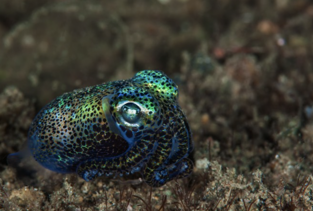 스크린샷 2025-02-01 오후 7.03.24.png