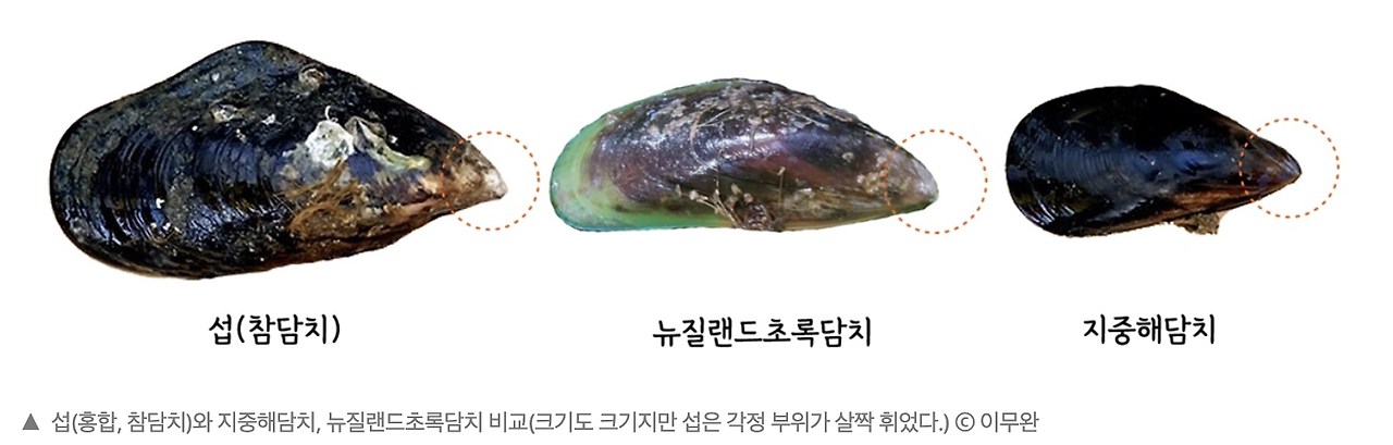 스크린샷 2025-04-15 오후 10.39.13.png