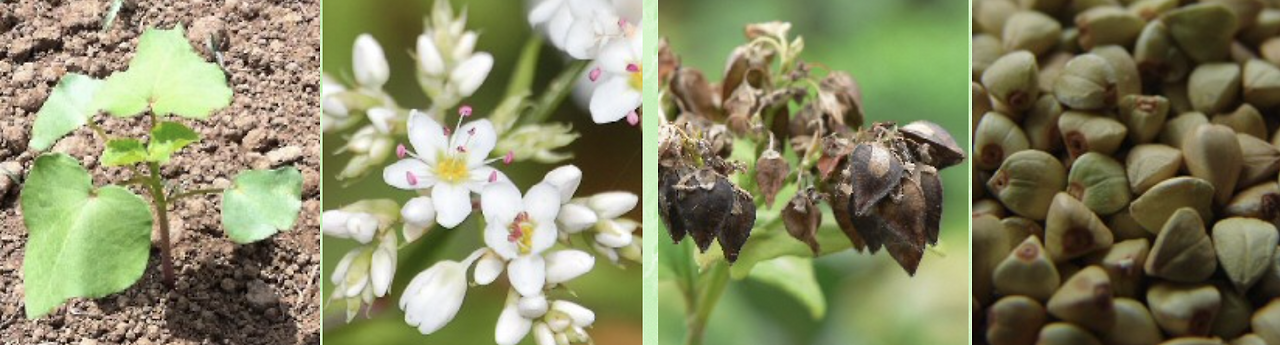 스크린샷 2025-01-31 오후 9.36.05.png