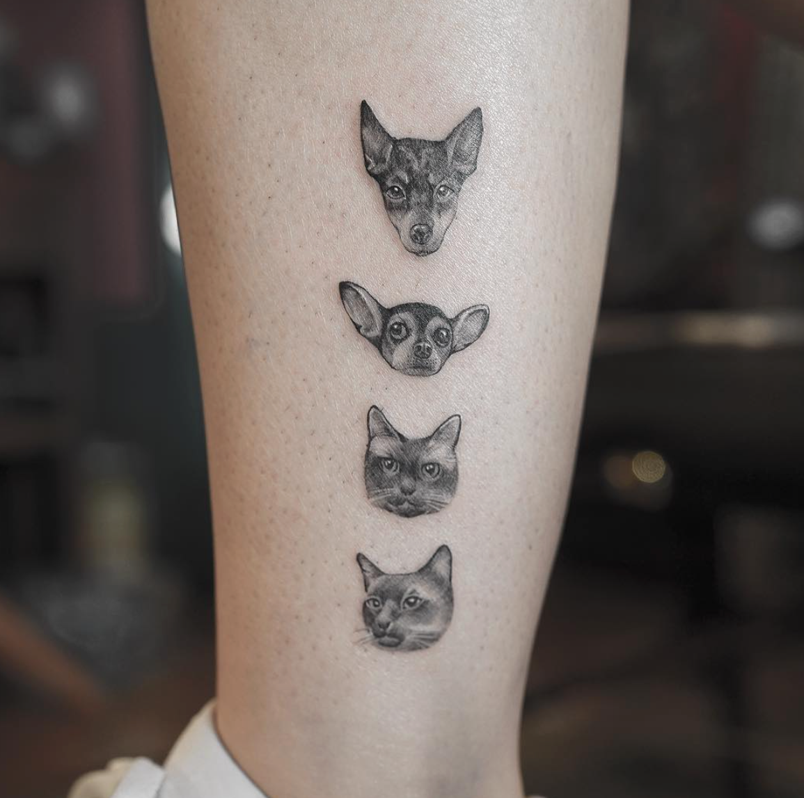 스크린샷 2017-06-23 오후 2.52.15.png