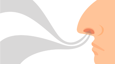 1174767 [변환됨].png