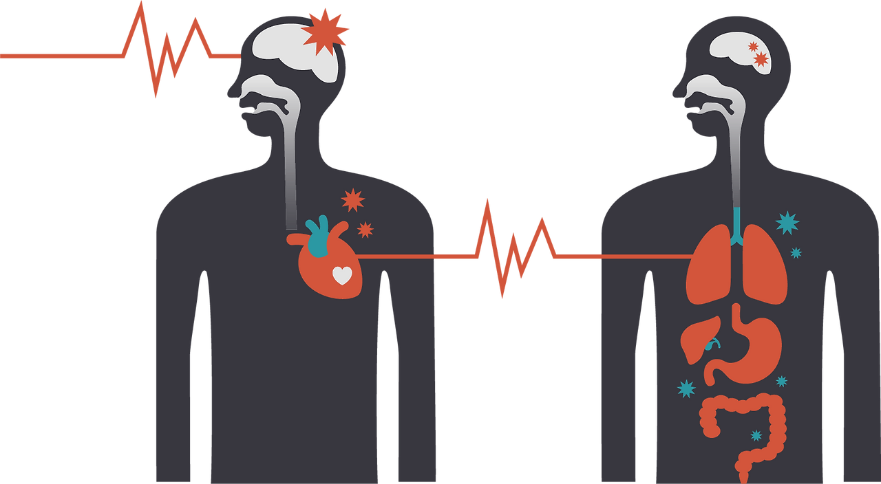 1048491 [변환됨].png