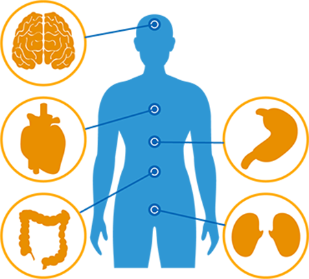 1028156 [변환됨].png