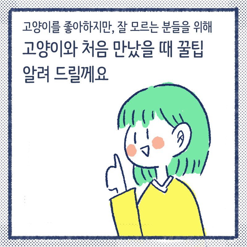 고양이첫인사1.png