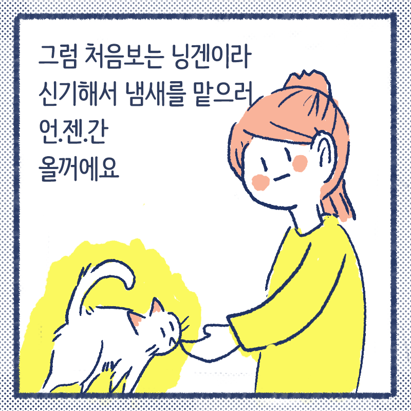 고양이첫인사8.png