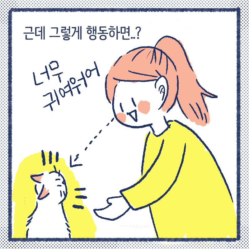 고양이첫인사3.png