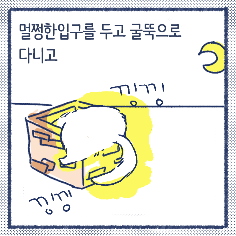 산타소금5.png