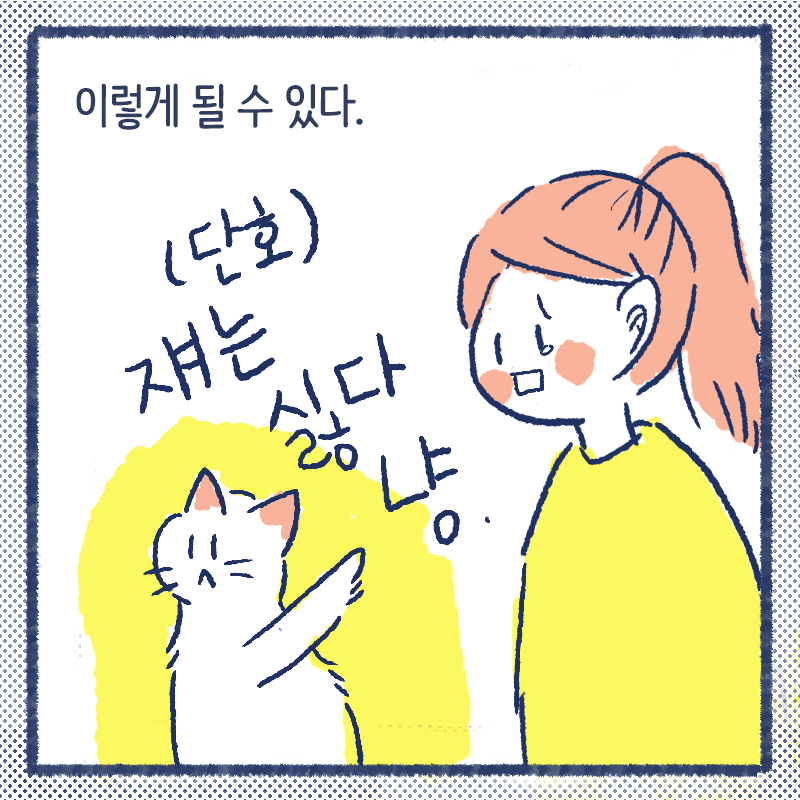 고양이첫인사5.png