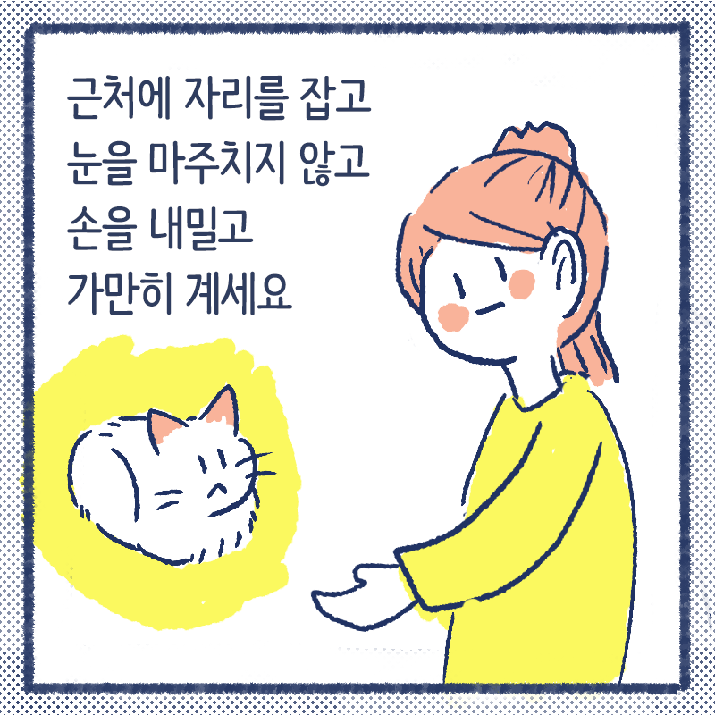 고양이첫인사.7png.png