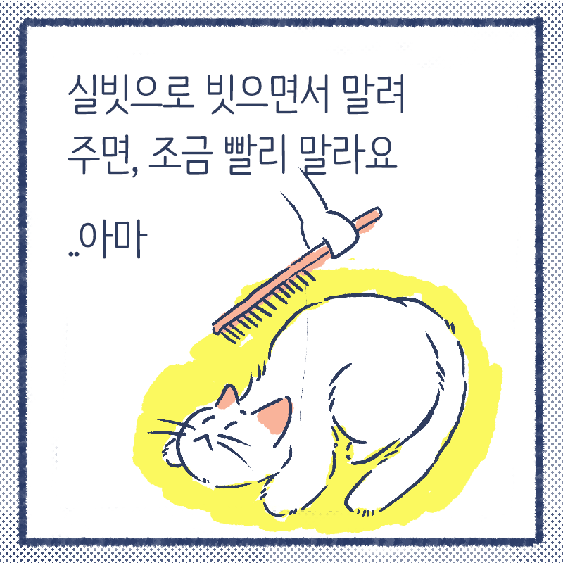 냥말리기 꿀팁4.png