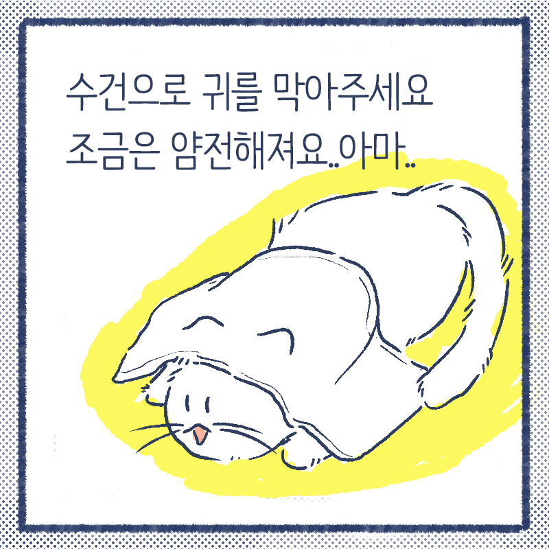 냥말리기 꿀팁3.png