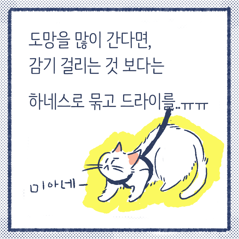 냥말리기 꿀팁5.png