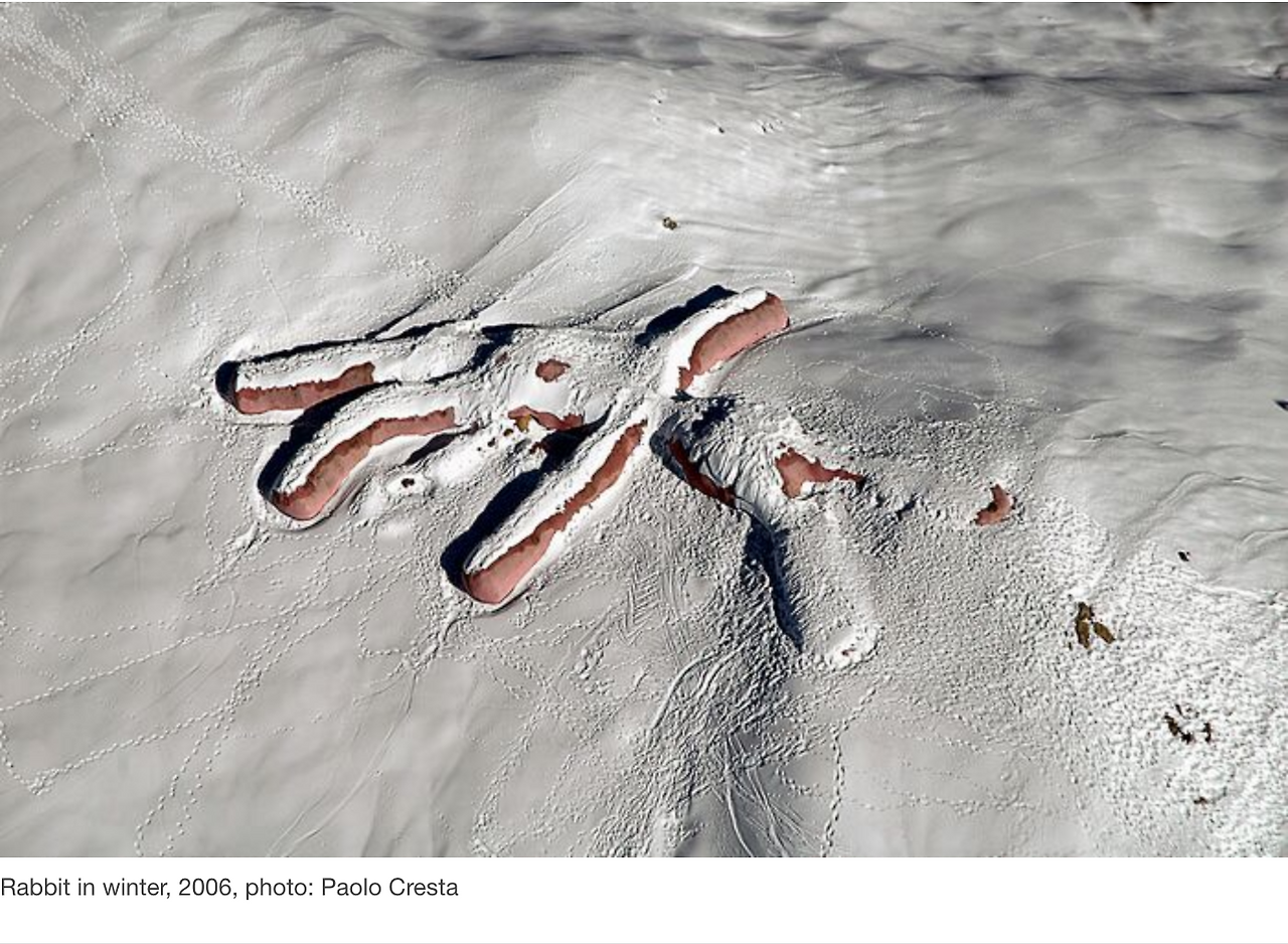 스크린샷 2025-05-06 오후 1.46.43.png