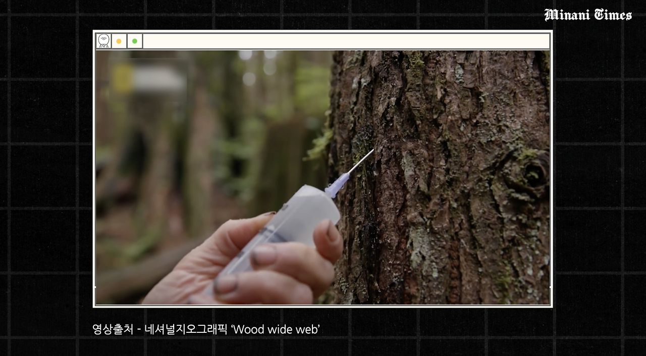 스크린샷 2023-03-12 오후 6.26.39.png