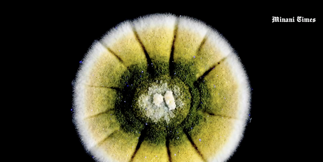 스크린샷 2023-03-12 오후 6.20.18.png