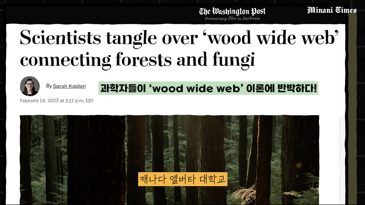 스크린샷 2023-03-12 오후 6.19.34.png