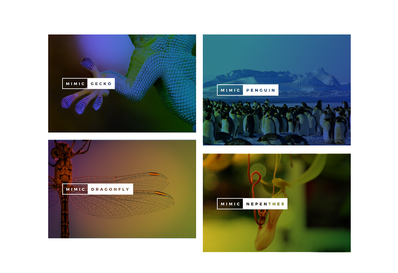 Screen Shot 2018-10-10 at 3.10.49 AM.png