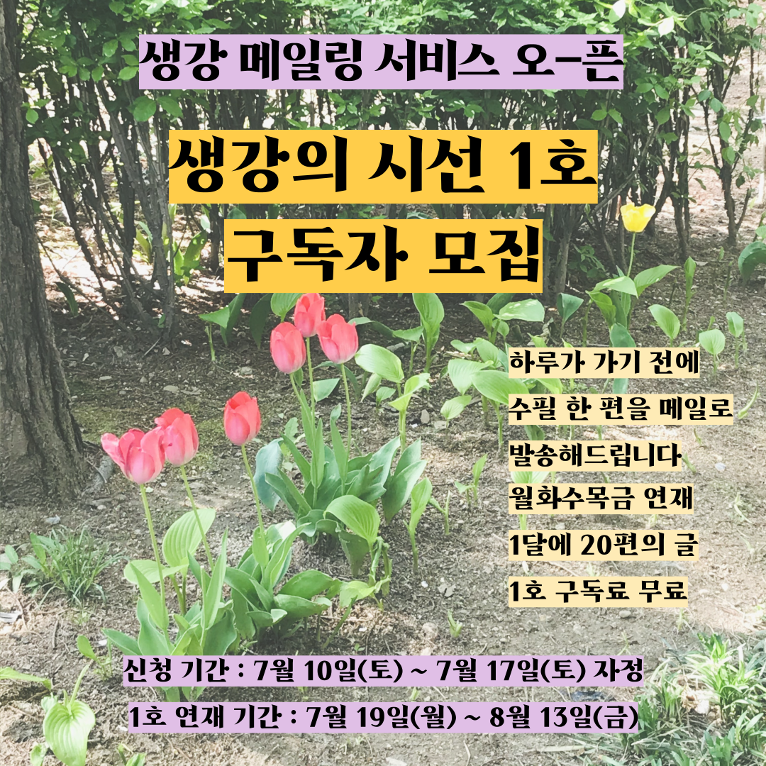 [생강의-시선]-1호-포스터-004 (1).png