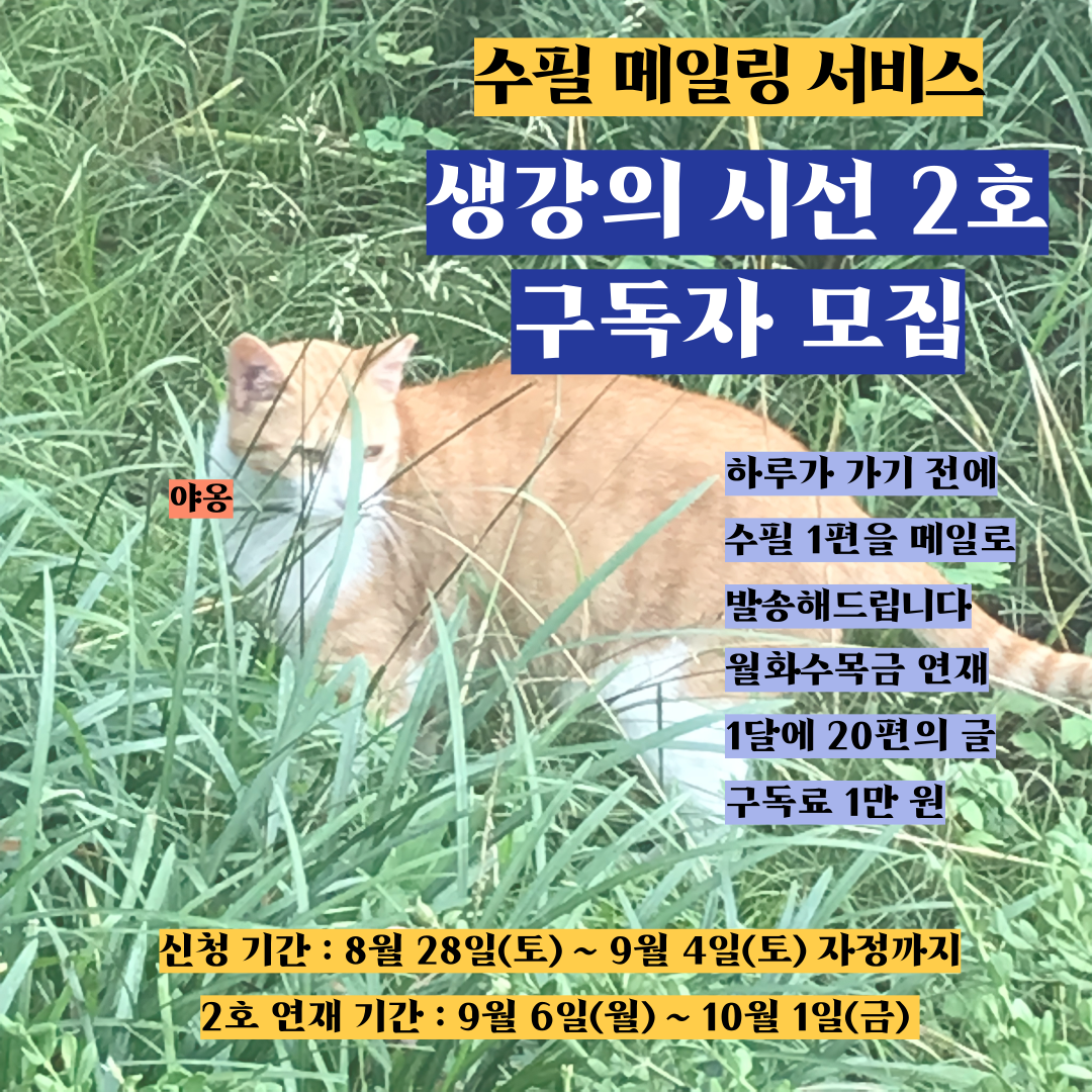 [생강의-시선]-2호-포스터-002.png