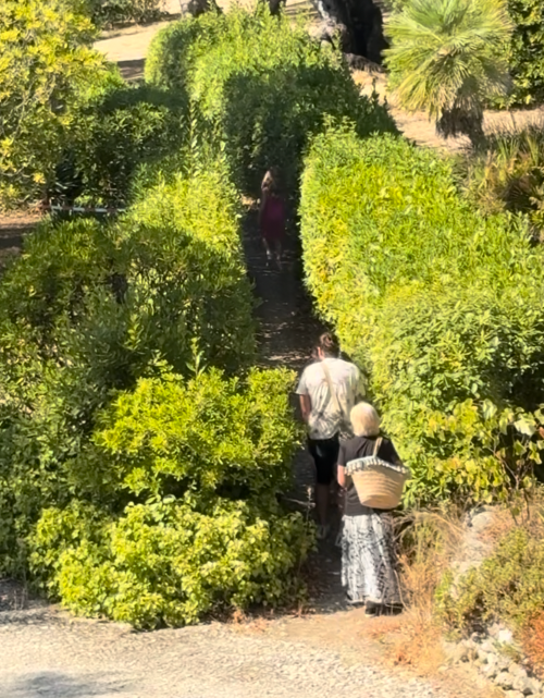 스크린샷 2026-01-06 오후 3.35.01.png