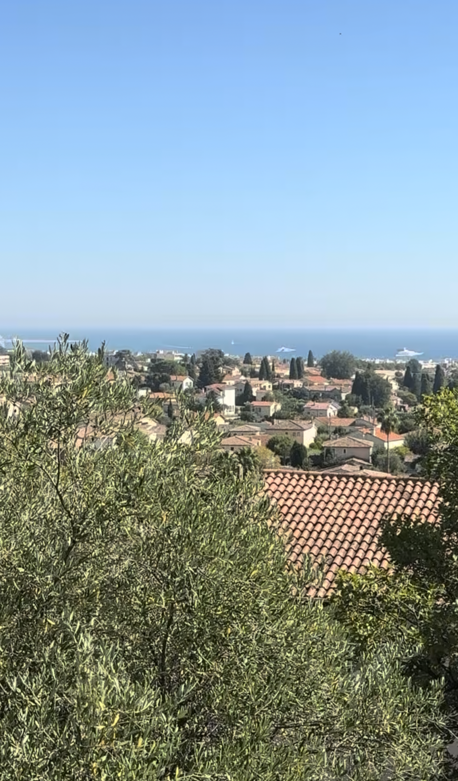 스크린샷 2026-01-06 오후 3.55.41.png