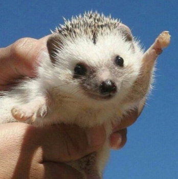 스크린샷 2020-06-17 오후 2.02.57.png