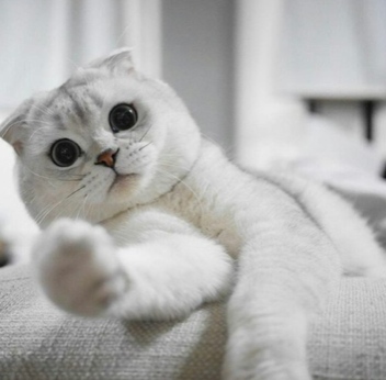 스크린샷 2020-06-17 오후 1.48.07.png