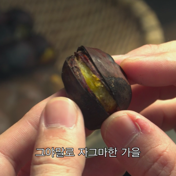 Screen Shot 2018-01-06 at 5.26.43 PM.png