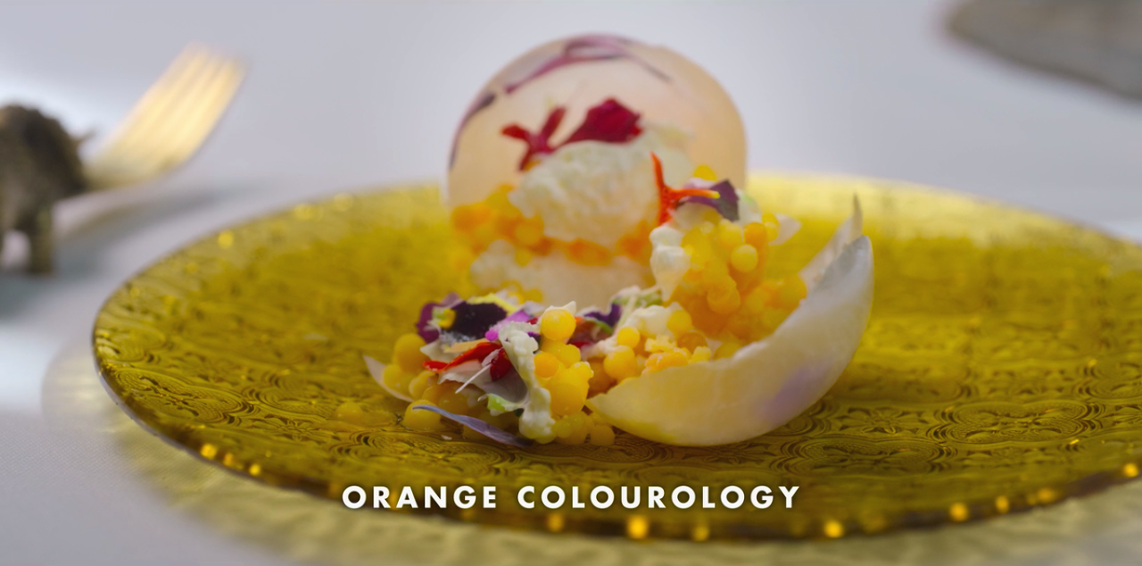 10. 오렌지 색상학.png