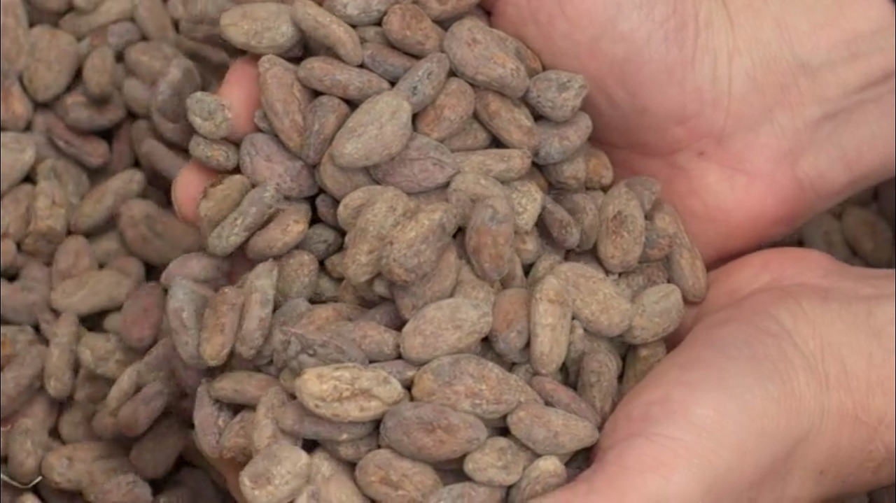 Screen Shot 2018-01-05 at 2.08.53 AM.png