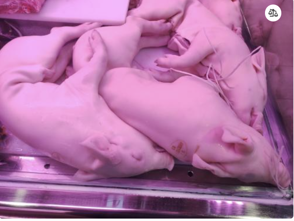 스크린샷 2024-10-16 오후 4.35.25.png