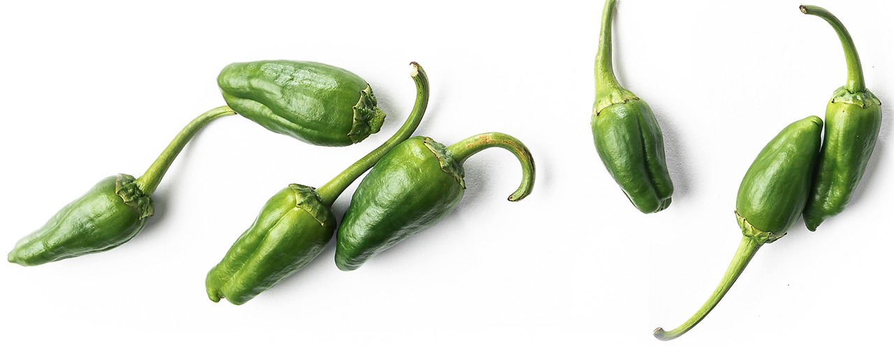 스크린샷 2024-09-21 오후 6.08.55.png