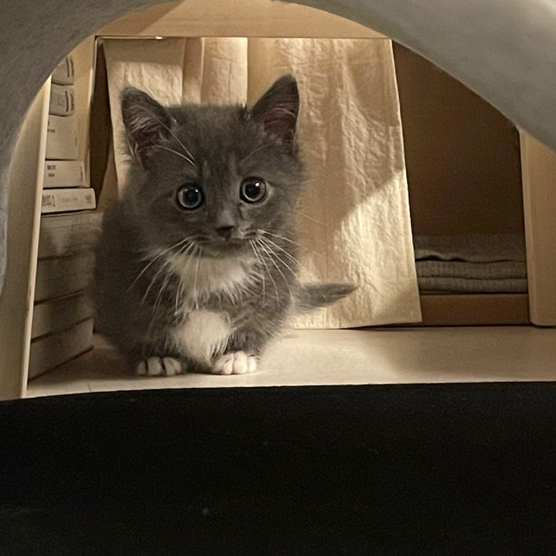 KakaoTalk_Photo_2023-04-04-21-52-16 004.png