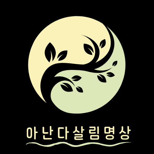 아난다 살림명상 (2).png