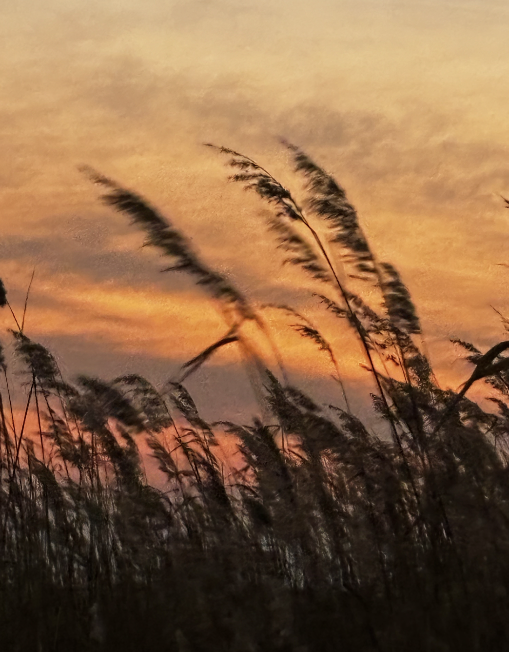 스크린샷 2025-03-24 오후 12.58.31.png