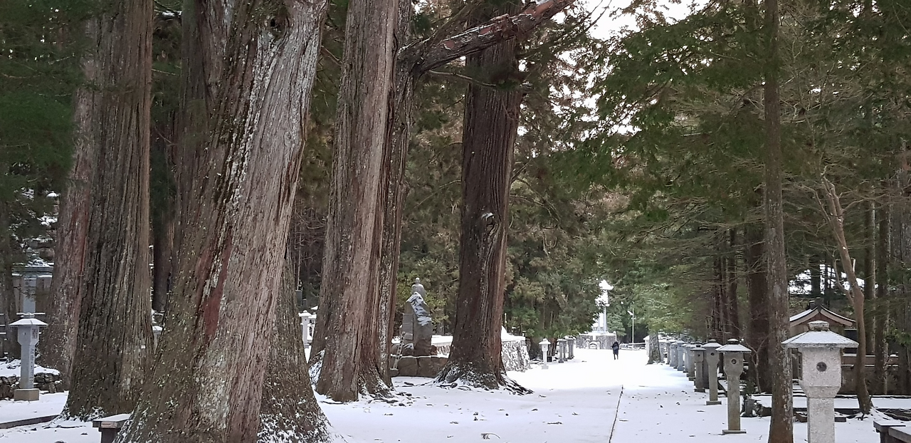 21일(오쿠노인 경내1).png