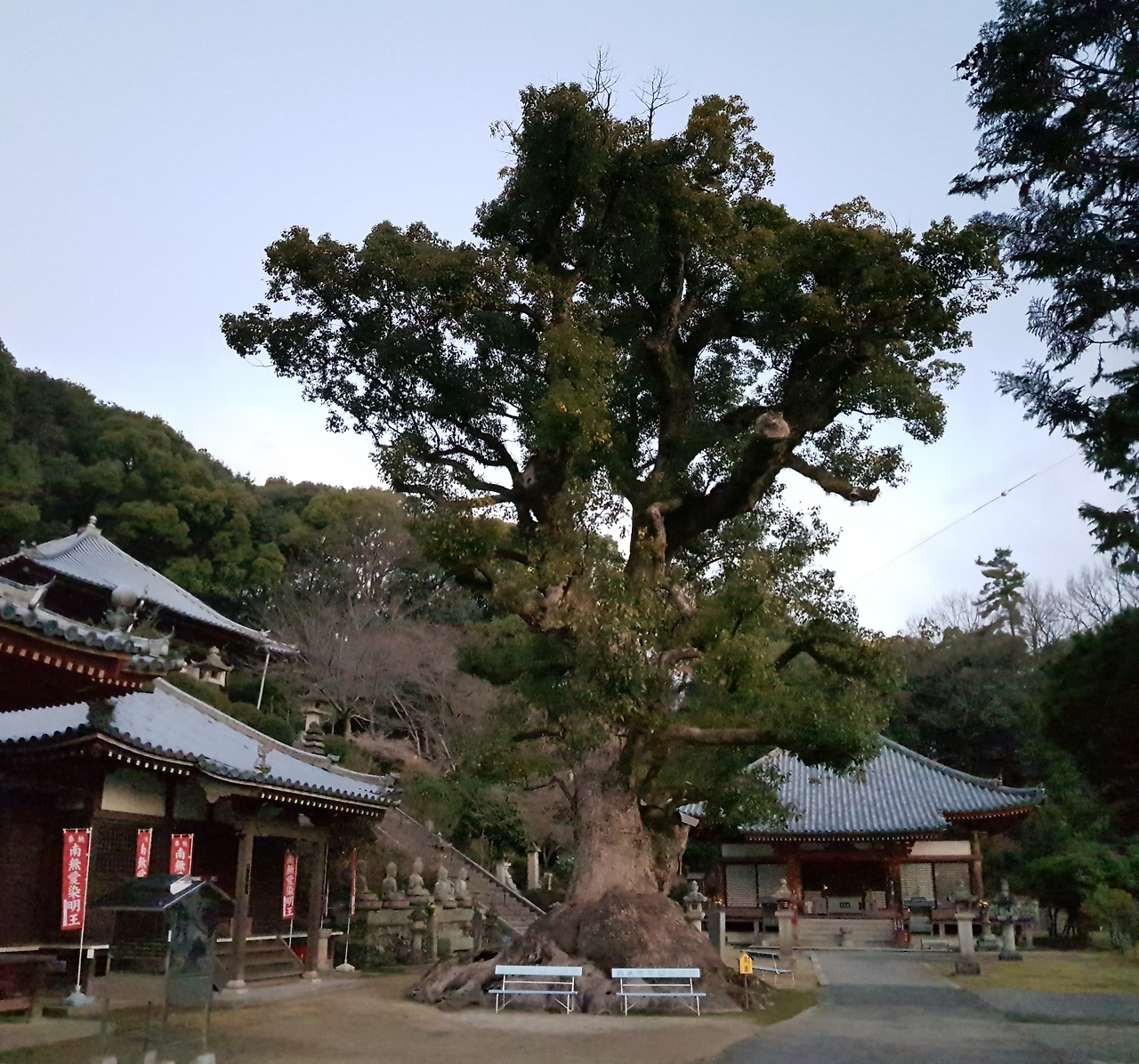 15일(간온지 경내).png