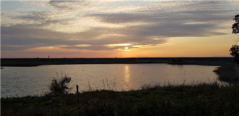 22일(오사카 야생조류공원1).png