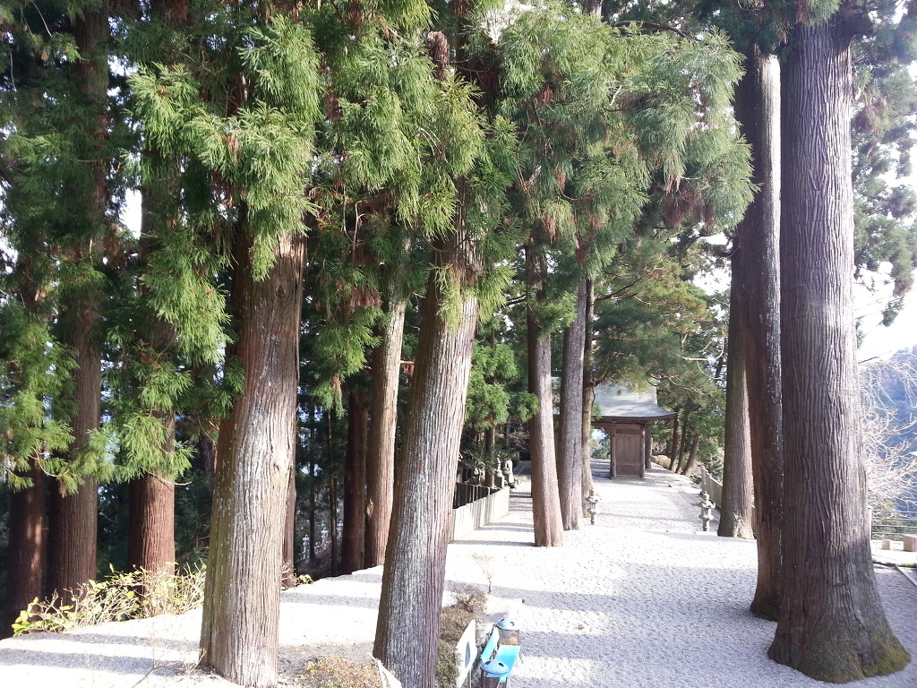 3일째(쇼산지 포스).png