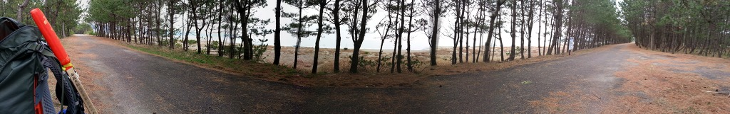 16일째(소나무 해변길).png