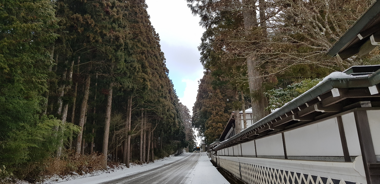 21일(고쿠라바시역 가는 길).png